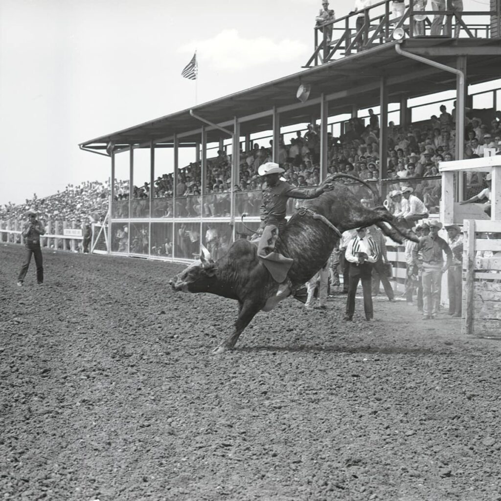 Myrtis riding a bull